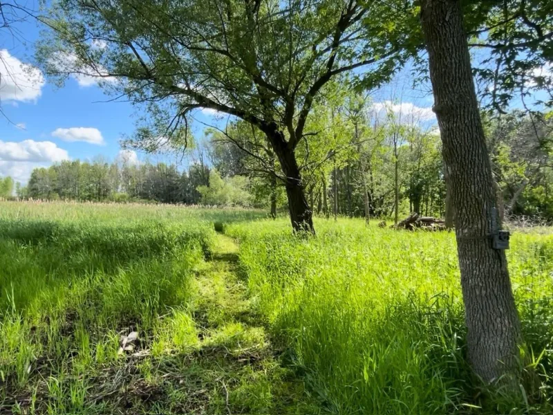 Listing picture for COUNTY RD B in Winneconne