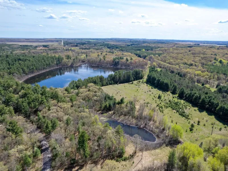 Listing picture for 79.95 AC County Road FF in Hancock