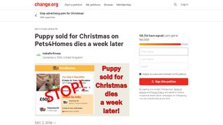 Petition update · Puppy sold for Christmas on Pets4Homes ...
