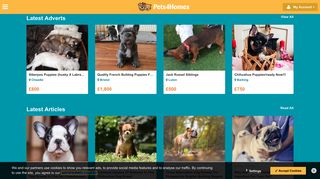 Pets4Homes | Dogs, Puppies, Cats, Kittens & Pets for Sale in UK