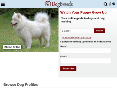 101dogbreeds.com.png