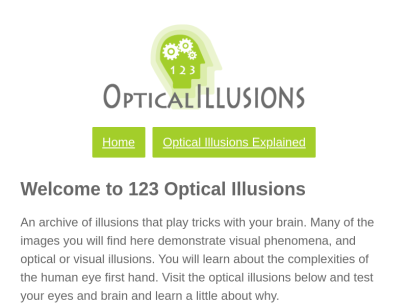 123opticalillusions.com.png