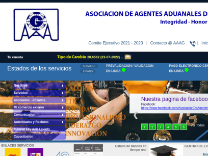 aaag.org.mx.png