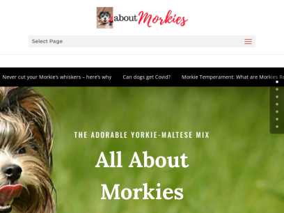 aboutmorkies.com.png