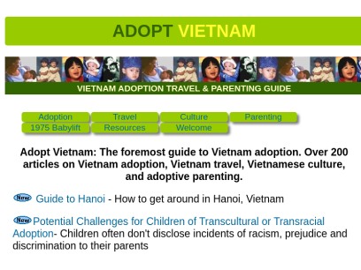 adoptvietnam.org.png