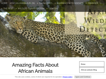 africa-wildlife-detective.com.png