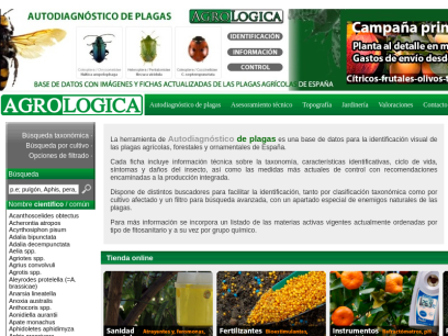 agrologica.es.png