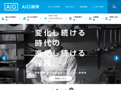 aig.co.jp.png