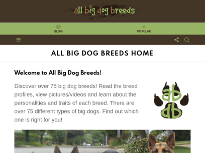 allbigdogbreeds.com.png