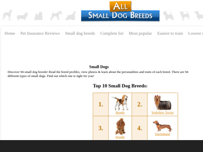 allsmalldogbreeds.com.png