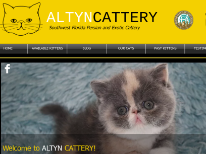 altyncattery.com.png