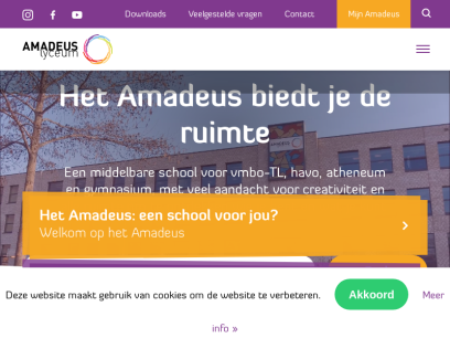 amadeuslyceum.nl.png