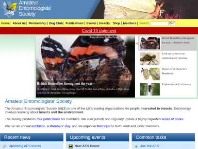 amentsoc.org.png