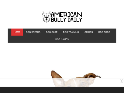 americanbullydaily.com.png