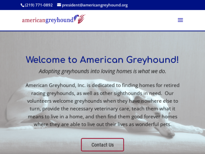 americangreyhound.org.png