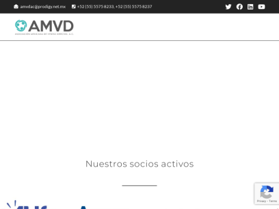 amvd.org.mx.png