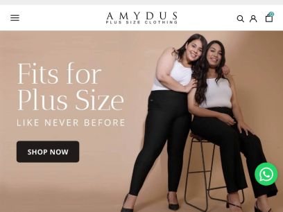 amydus.com.png