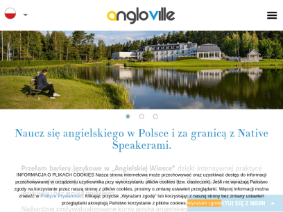 angloville.pl.png