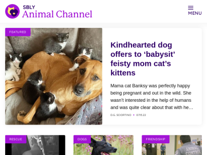 animalchannel.co.png