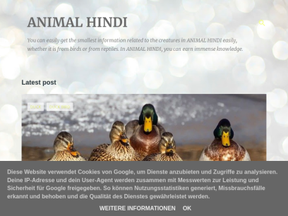 animalhindi.blogspot.com.png