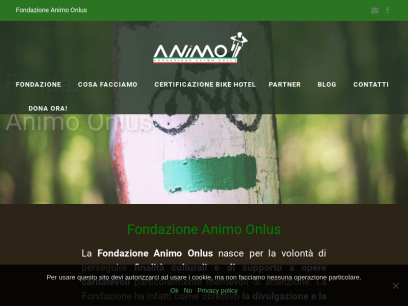 animo.com.png