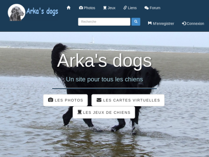 arkasdogs.org.png
