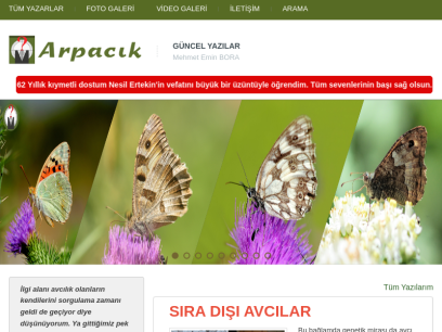 arpacik.net.png