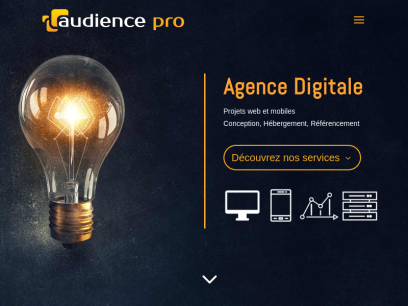 audience-pro.com.png
