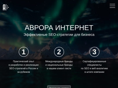 auroraseo.ru.png