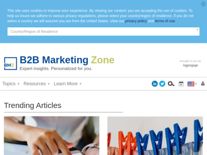 b2bmarketingzone.com.png