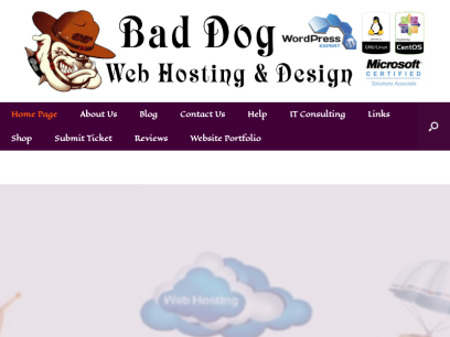 baddogwebhosting.com.png