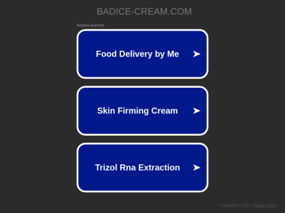 badice-cream.com.png