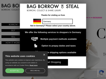 bagborroworsteal.com.png