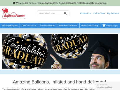 balloonplanet.com.png