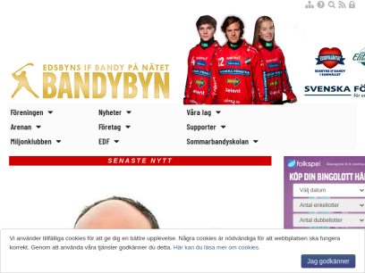 bandybyn.se.png
