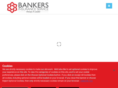 bankersinsuranceservice.com.png