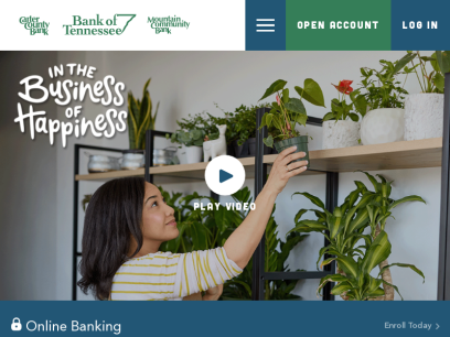 bankoftennessee.com.png