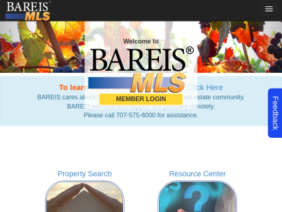 bareis.com.png