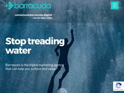 barracuda.digital.png