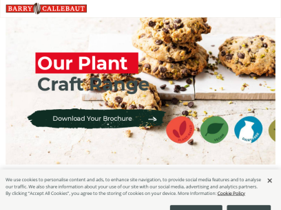 barry-callebaut.com.png