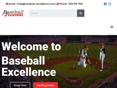 baseball-excellence.com.png