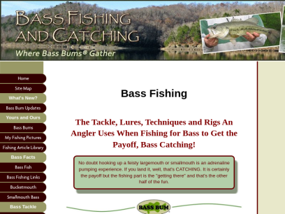 bassfishingandcatching.com.png