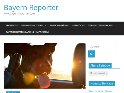 bayern-reporter.com.png