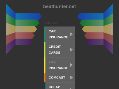 beathunter.net.png
