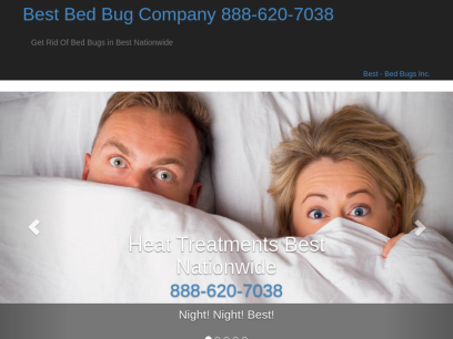 bedbugsin.com.png