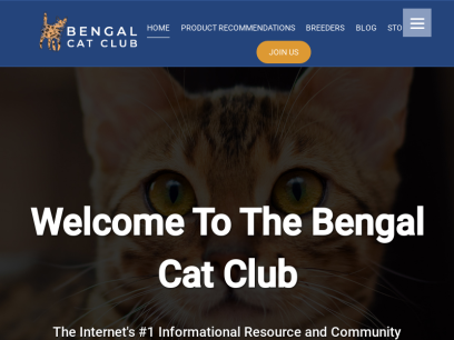 bengalcatclub.com.png