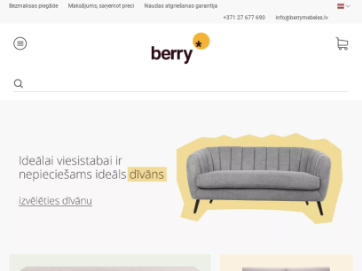 berrymebeles.lv.png