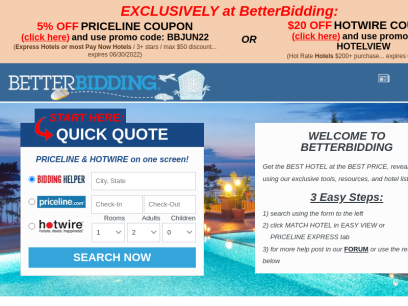 betterbidding.com.png