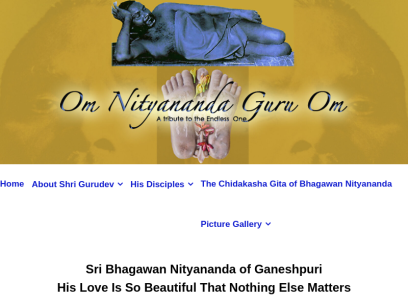 bhagawannityananda.org.png