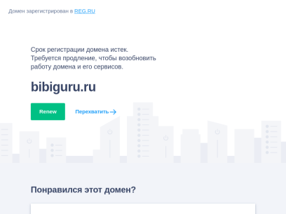 bibiguru.ru.png